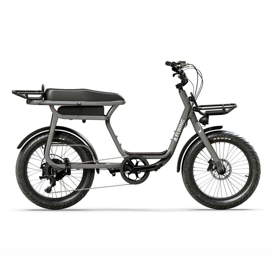 VÉLO DE VILLE ÉLECTRIQUE BIPLACE ET MODULABLE 624WH